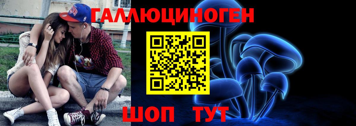 Псилоцибиновые грибы Cubensis Глазов